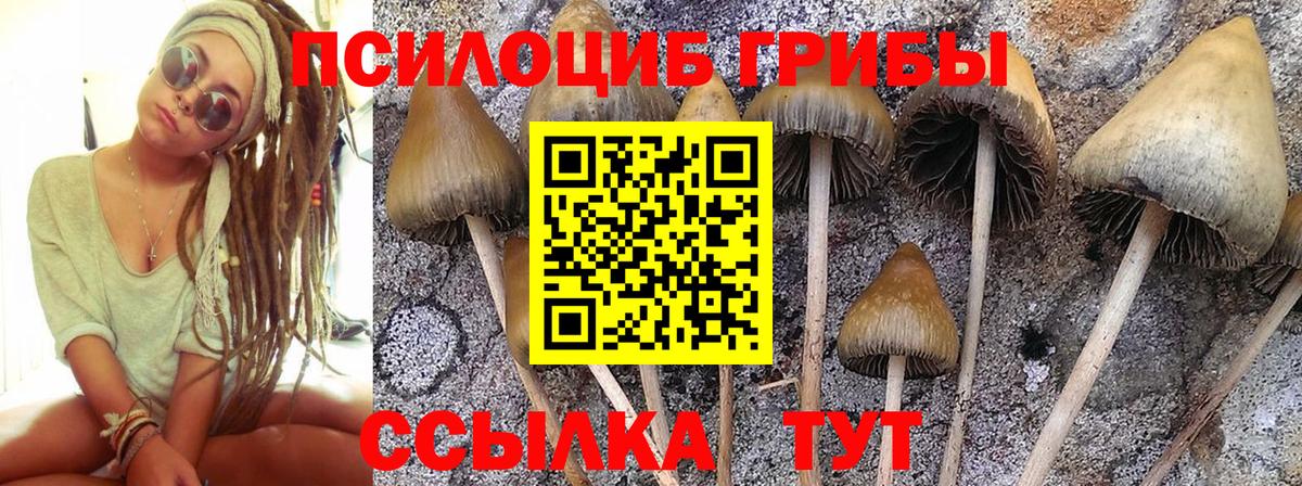Галлюциногенные грибы мухоморы  Вход с VPN  Ухта 