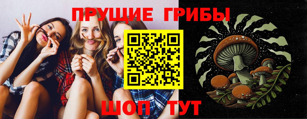 Псилоцибиновые грибы прущие грибы Ухта